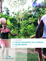 Case brief: seguro de accidentes en la cancha: Fundación PROFIN
