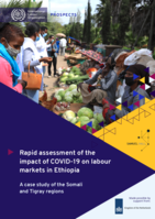 Rapid assessment of the impact of COVID-19 on labour markets in Ethiopia: a case study of the Somali and Tigray regions
