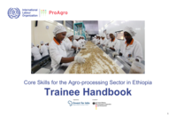Core skills for the agro-processing sector in Ethiopia: trainee handbook