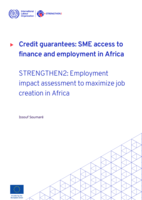 Credit guarantees: SME access to finance and employment in Africa : strengthen2 : employment impact assessment to maximise job creation in Africa