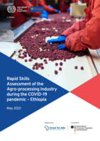 Rapid skills assessment of agro-processing industry during the COVID-19 pandemic: Ethiopia