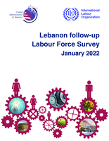 Lebanon follow-up Labour Force Survey: January 2022
