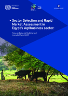 Sector selection and rapid market assessment in Egypt’s agribusiness sector: focus on dairy and Medicinal and Aromatic Plants (MAP)