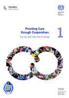 Providing care through cooperatives: survey and interview findings