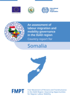An assessment of labour migration and mobility governance in the IGAD region: Country report for Somalia