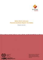 Thematic synthesis report: fire safety