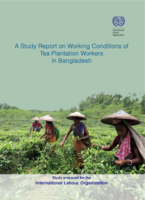 A study report on working conditions of tea plantation workers in Bangladesh