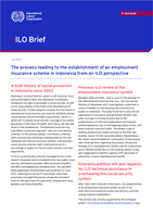The process leading to the establishment of an employment insurance scheme in Indonesia from an ILO perspective