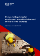 Demand-side policies for employment promotion in low- and middle-income countries