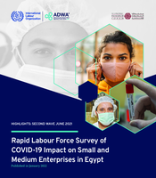 Rapid labour force survey of COVID-19 impact on small and medium enterprises in Egypt: highlights: second wave June 2021