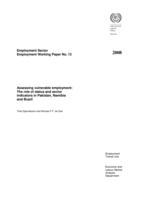 Assessing vulnerable employment: the role of status and sector indicators in Pakistan, Namibia and Brazil