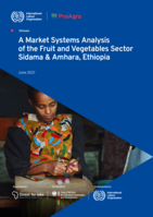 A market systems analysis of the fruit and vegetables sector in Sidama & Amhara, Ethiopia