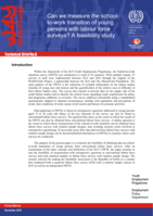 Can we measure the school to-work transition of young persons with labour force surveys?: a feasibility study