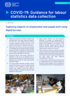 COVID-19: guidance for labour statistics data collection: capturing impacts on employment and unpaid work using Rapid Surveys