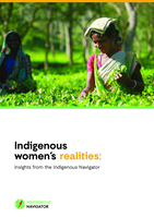 Indigenous women’s realities: insights from the Indigenous Navigator