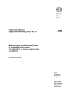 Mainstreaming environmental issues in sustainable enterprises: an exploration of issues, experiences and options
