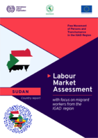 Labour market assessment with focus on migrant workers from the IGAD region: Sudan country report