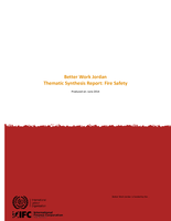 Thematic synthesis report: fire safety