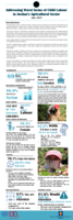 Addressing worst forms of child labour in Jordan's agricultural sector