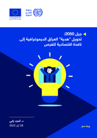 Generation 2050: turning Iraq’s demographic ‘gift’ into an economic window of opportunity : working paper