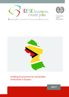 The enabling environment for sustainable enterprises in Guyana