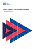 Child labour stand-alone surveys: Model questionnaire
