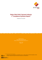 Garment industry 1st compliance synthesis report