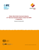 Garment industry 11th biannual synthesis report under the HOPE II legislation