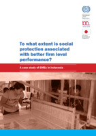To what extent is social protection associated with better firm level performance?: a case study of SMEs in Indonesia