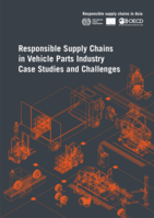 Responsible supply chains in vehicle parts industry case studies and challenges