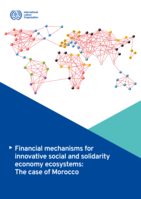 Financial mechanisms for innovative social and solidarity economy ecosystems: the case of Morocco