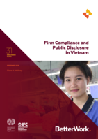 Firm compliance and public disclosure in Vietnam