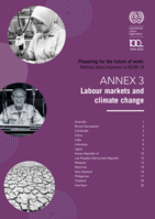 Preparing for the future of work: national policy responses in ASEAN +6 (Annex 3)