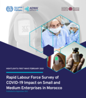 Rapid labour force survey of COVID-19 impact on small and medium enterprises in Morocco: highlights: first wave February 2021