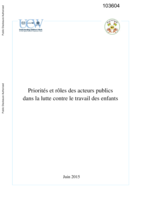 Priorités et rôles des acteurs publics dans la lutte contre le travail des enfants: rapport de pays