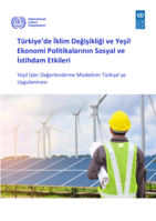 Social and employment impacts of climate change and green economy policies in Türkiye: application of the Green Jobs Assessment Model for Türkiye