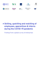 Skilling, upskilling and reskilling of employees, apprentices & interns during the COVID-19 pandemic: findings from a global survey of enterprises