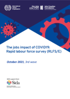 The jobs impact of COVID19: rapid labour force survey (RLFS/E) : October 2021, 3rd wave