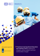 Technical and Vocational Education and Training (TVET) mapping for refugees, asylum seekers and host communities in Egypt