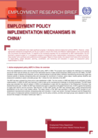 Employment policy implementation mechanisms in China