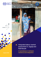 Integrated labour market assessment in Jigjiga and Kebribeyah: a marketplace in between resilience and integration