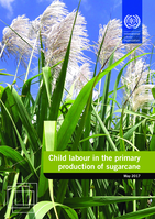 Child labour in the primary production of sugarcane