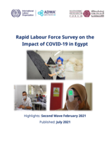 Rapid labour force survey on the impact of COVID-19 in Egypt: highlights: second wave February 2021