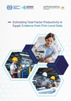 Estimating total factor productivity in Egypt: evidence from firm-level data