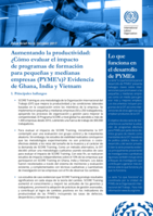 Aumentando la productividad: ¿Cómo evaluar el impacto de programas de formación para pequeñas y medianas empresas (PYME’s)? Evidencia de Ghana, India y Vietnam