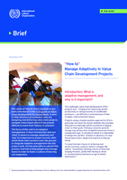 “How to” manage adaptively in Value Chain Development projects