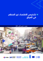 A diagnostic of the informal economy in Iraq