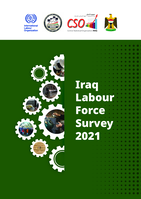 Iraq Labour Force Survey 2021