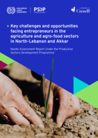 Key challenges and opportunities facing entrepreneurs in the agriculture and agro-food sectors in North-Lebanon and Akkar: needs assessment report under the Productive Sectors Development Programme