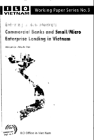 Entering a new market: commercial banks and small/micro enterprise lending in Vietnam